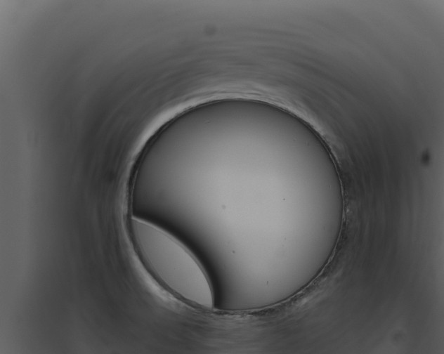 X0000094811523200711160952