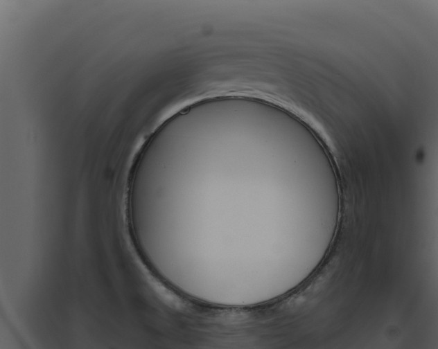 X0000094811525200711160952