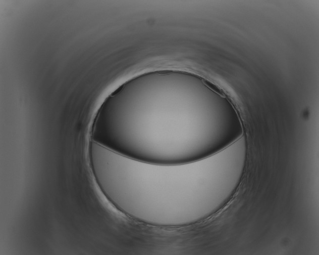 X0000094811528200711160952