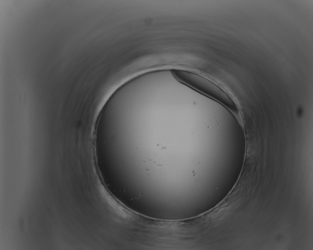 X0000094811532200711160952