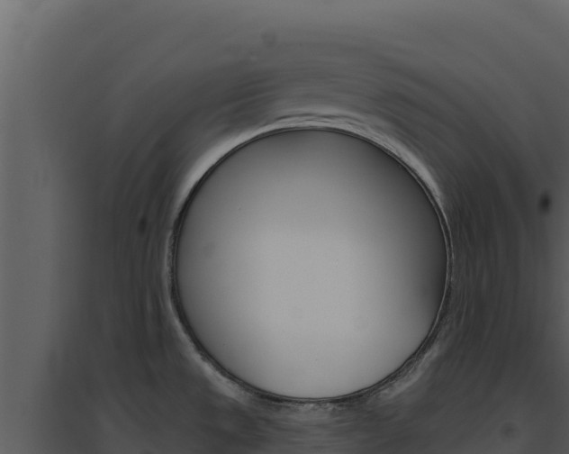 X0000094811533200711160952