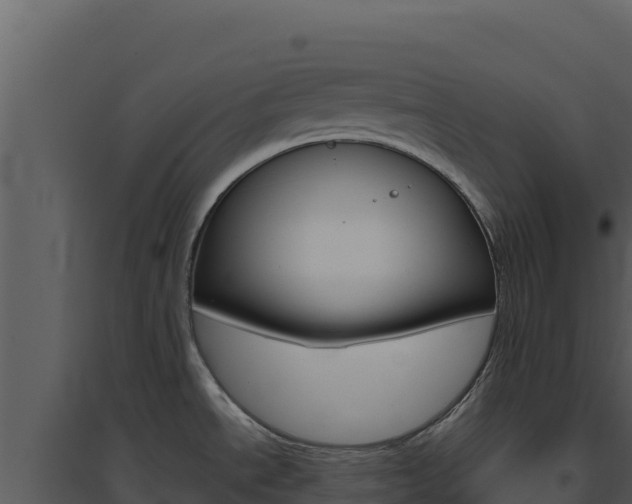 X0000094811534200711160952