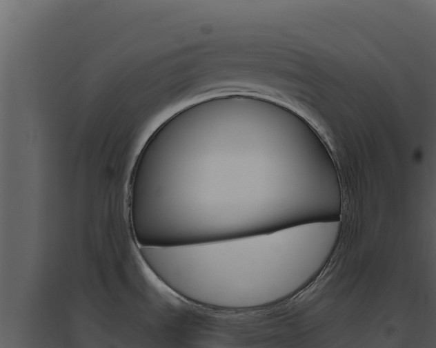 X0000094811535200711160952