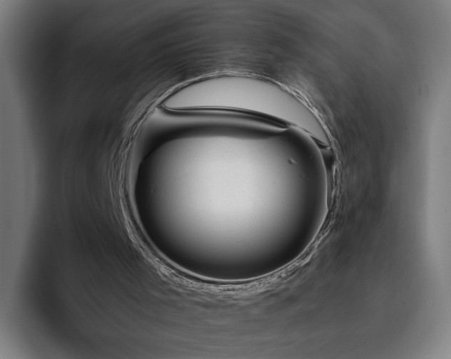 X0000094810001200711161517