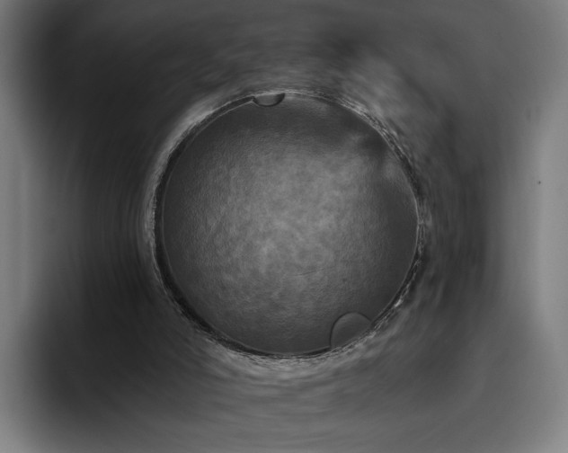 X0000094810006200711161517