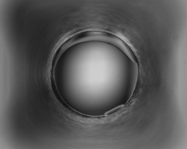 X0000094810007200711161517