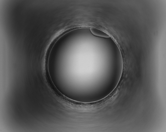 X0000094810008200711161517