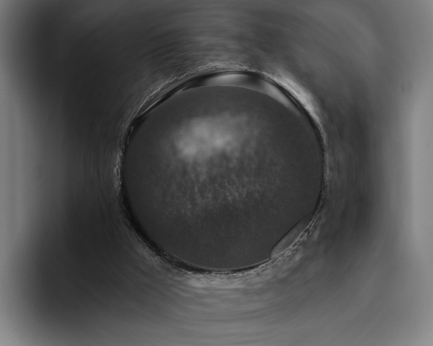 X0000094810009200711161517