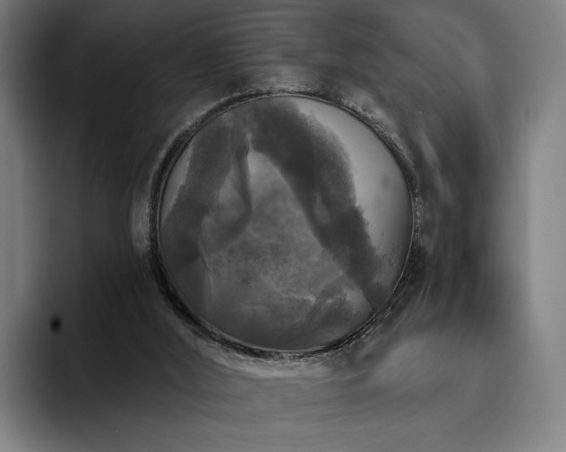 X0000094810012200711161517