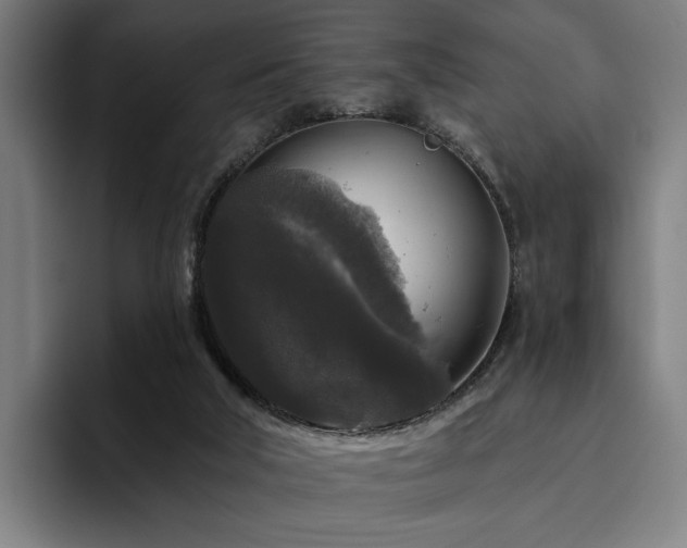 X0000094810018200711161517