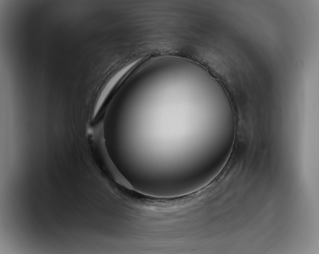 X0000094810021200711161517