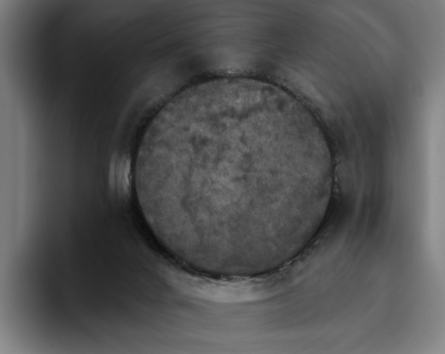 X0000094810024200711161517