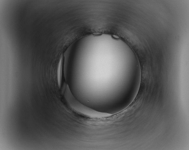 X0000094810025200711161517