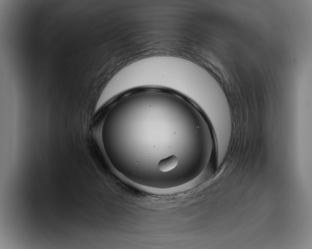 X0000094810029200711161516