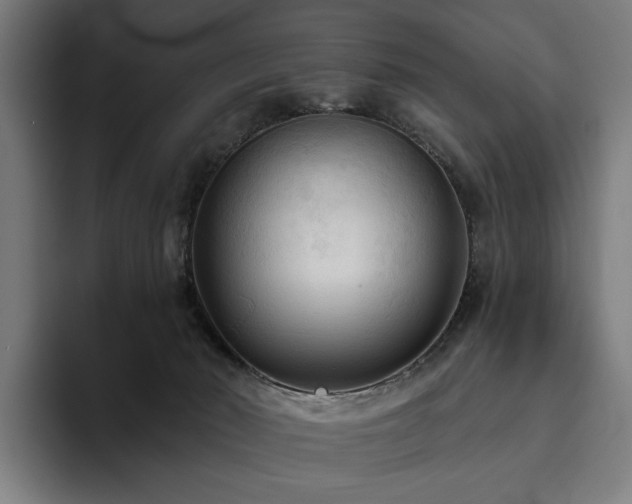 X0000094810030200711161516