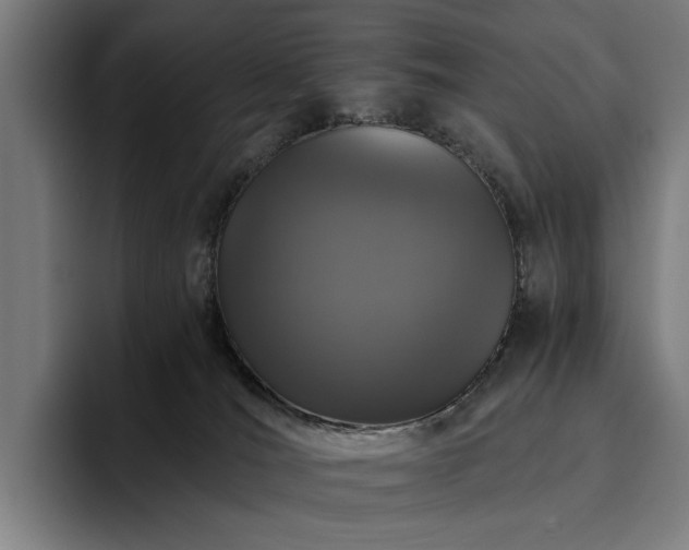 X0000094810036200711161516