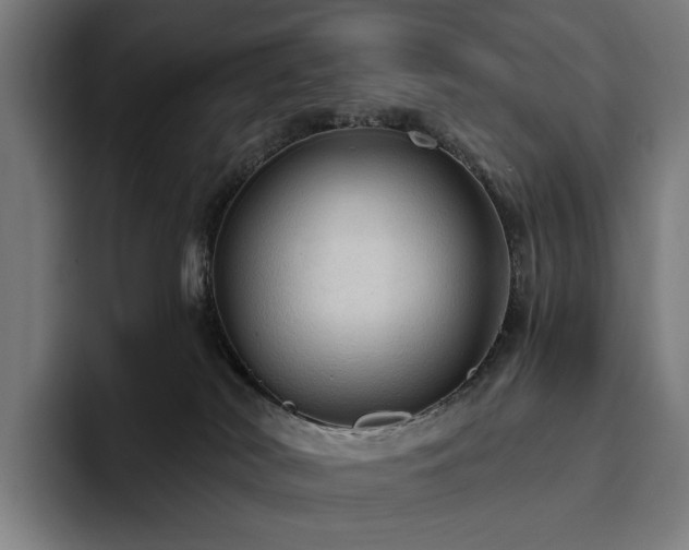 X0000094810038200711161516