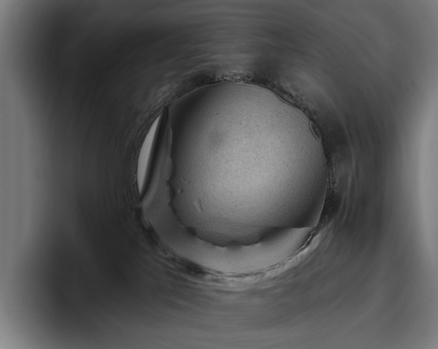 X0000094810041200711161516