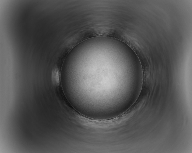 X0000094810042200711161516