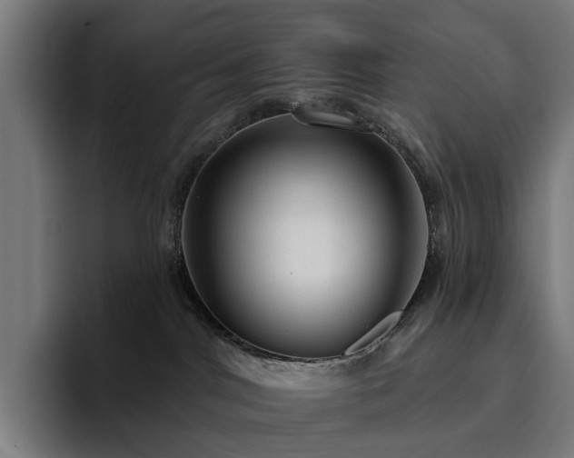 X0000094810044200711161516