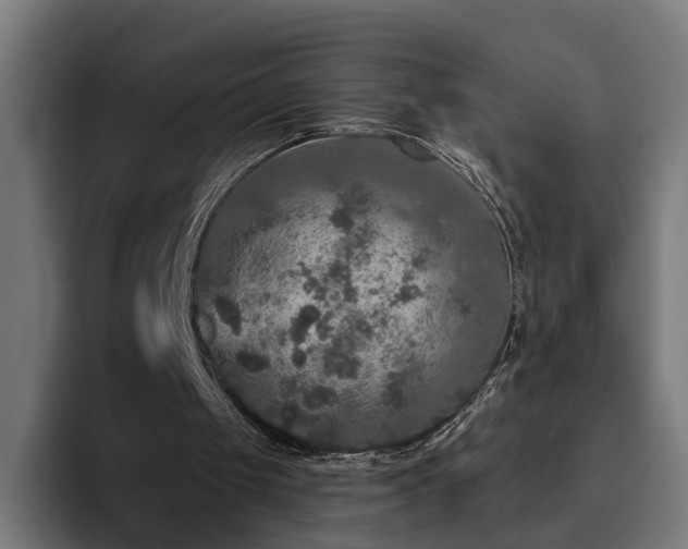 X0000094810049200711161516