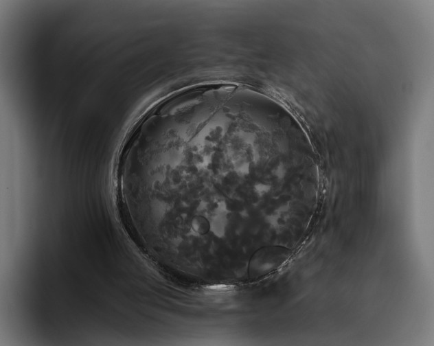 X0000094810053200711161516