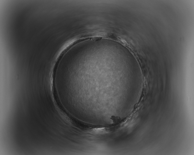 X0000094810054200711161516