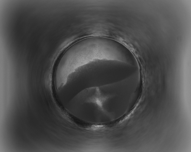 X0000094810055200711161516