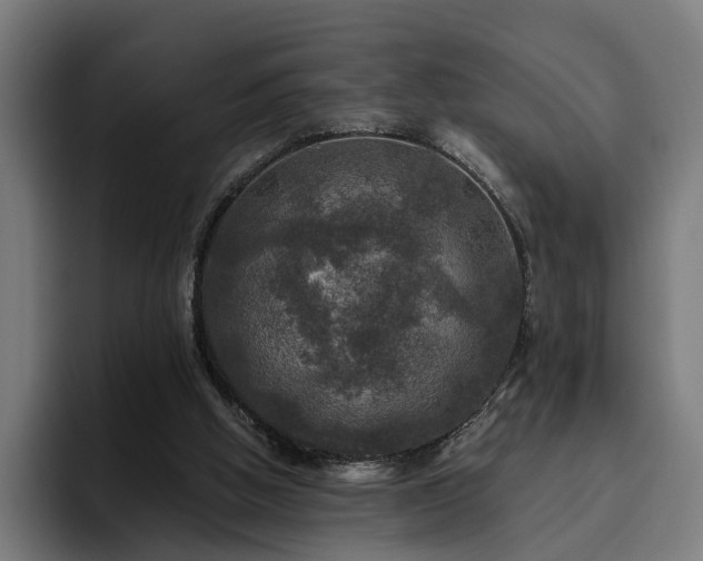 X0000094810058200711161516