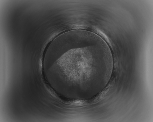 X0000094810059200711161516