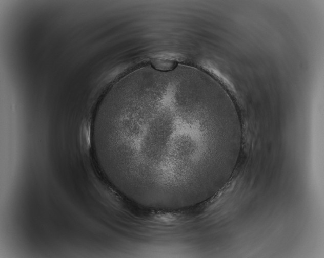 X0000094810062200711161516