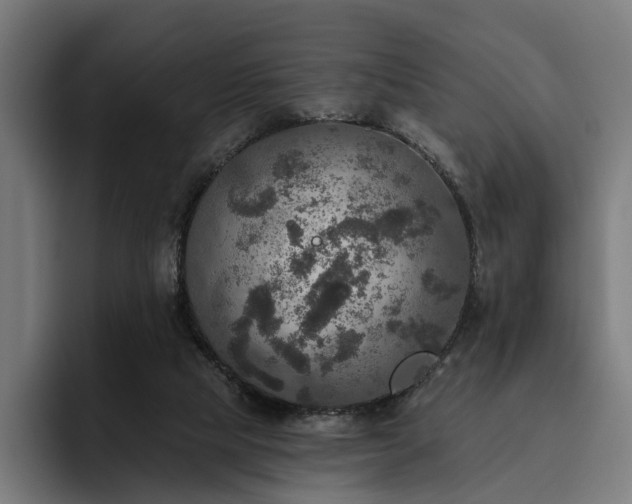 X0000094810065200711161516