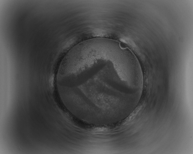 X0000094810066200711161516