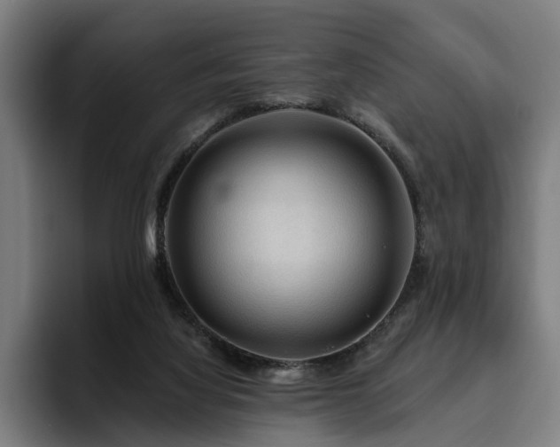 X0000094810068200711161516