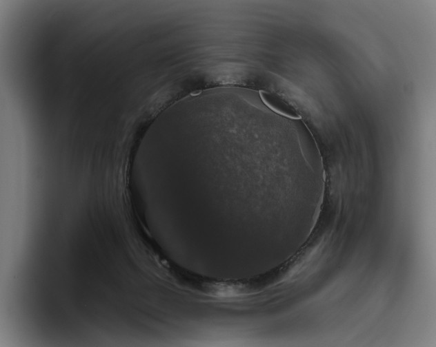 X0000094810073200711161516