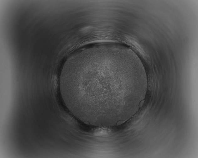 X0000094810077200711161516