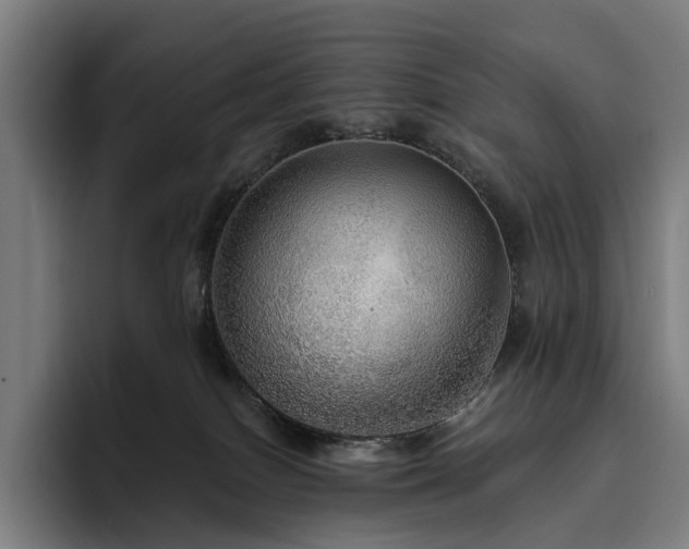 X0000094810086200711161516