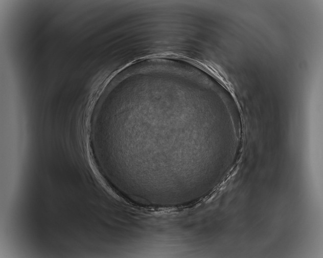 X0000094810097200711161516