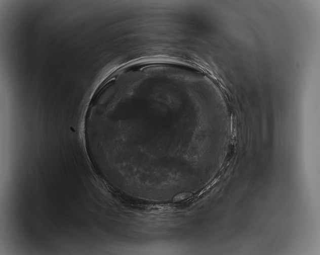 X0000094810099200711161516