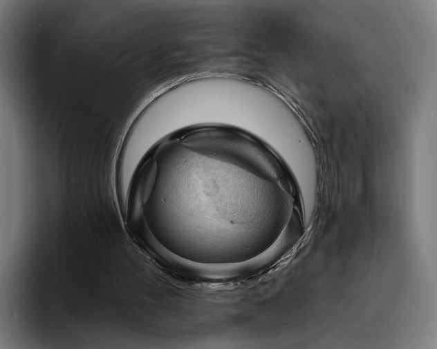 X0000094810100200711161516