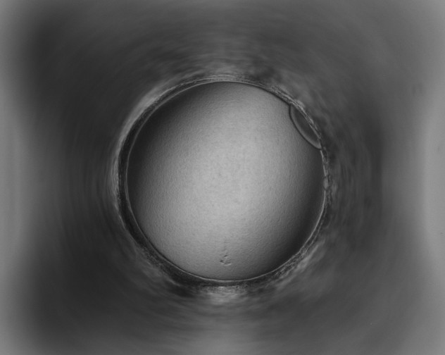 X0000094810102200711161516