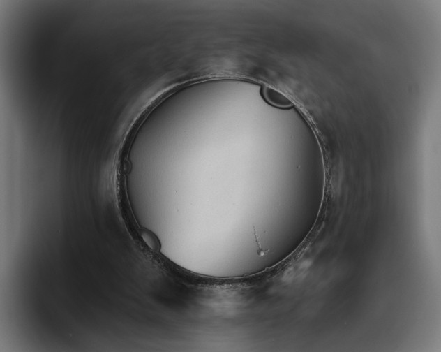 X0000094810103200711161515