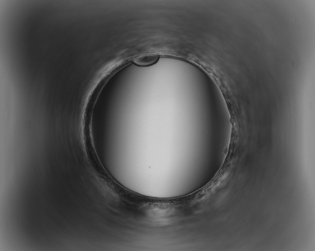 X0000094810104200711161515