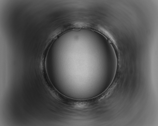 X0000094810105200711161515