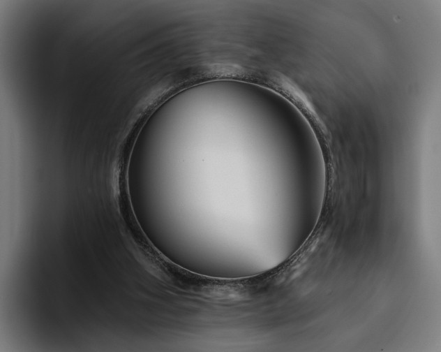 X0000094810106200711161515