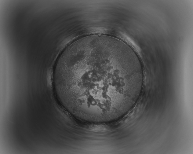 X0000094810107200711161515