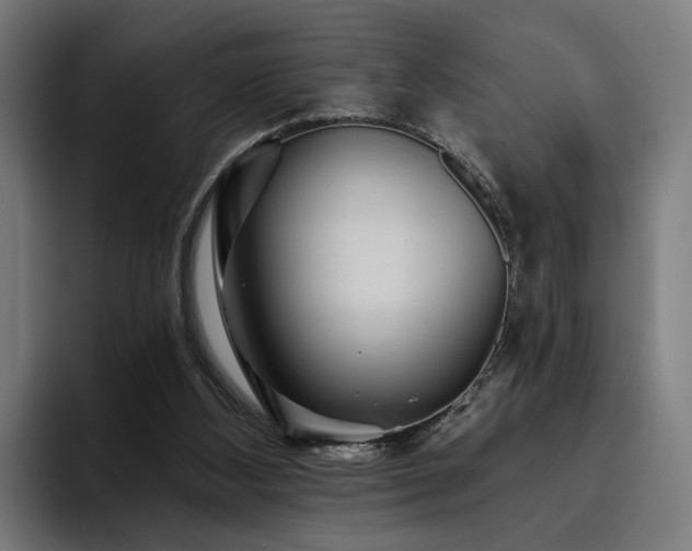 X0000094810108200711161515