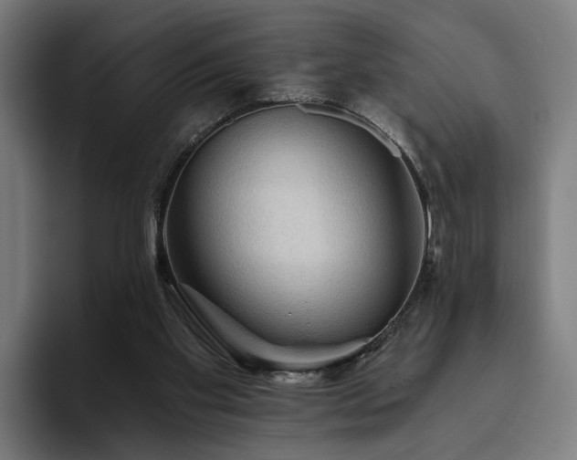 X0000094810109200711161515