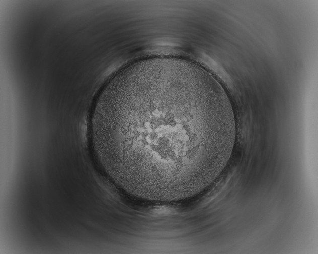 X0000094810111200711161515