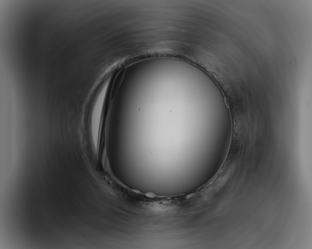 X0000094810112200711161515